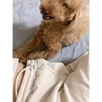 美波 あいか