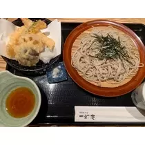 空条 しいな