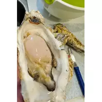 華宮 りりあ