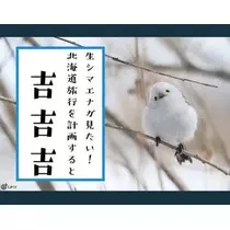 ひな