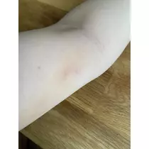 白石 愛莉