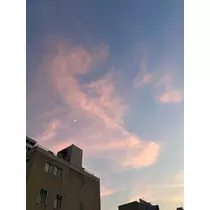 かびるんるんさわ