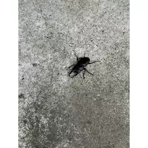 ちひろ