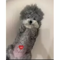 うづき ふうか