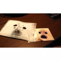 ひな
