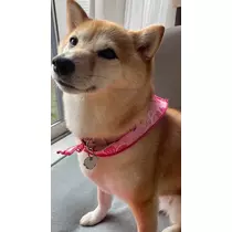 ツンデレかなの