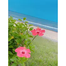 えみ