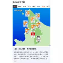 七星 夏純