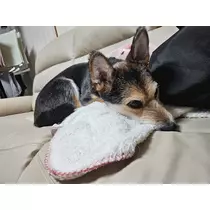 ゆり