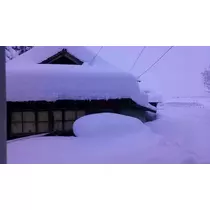 星野 大空