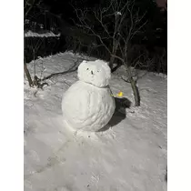 芹沢 莉瀬