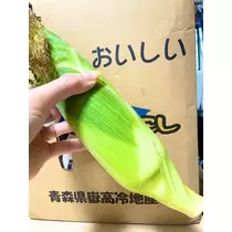 橘 美桜
