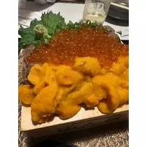 日向 茉莉