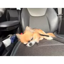 めい
