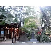 本城 椿