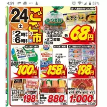 ひな