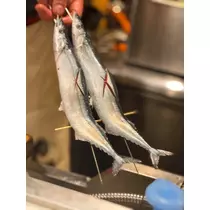 日向 夏南