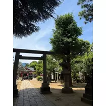 はな