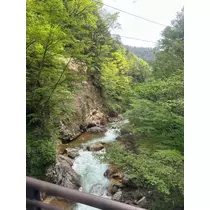 あや