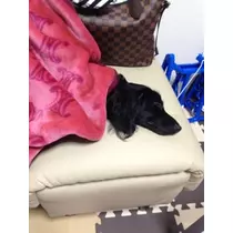 りえ