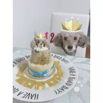 荒木 ナツミ