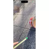 芹奈