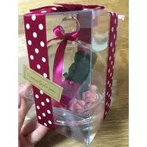 白石 愛莉