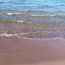 成海 まお