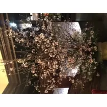 れな