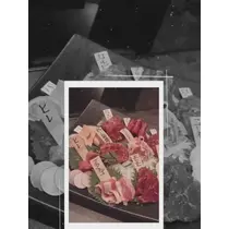 七星 夏純