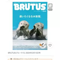 緑 四葉