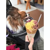 あいら