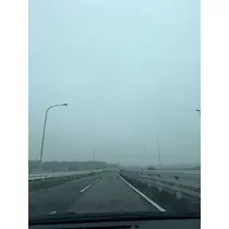 せいか