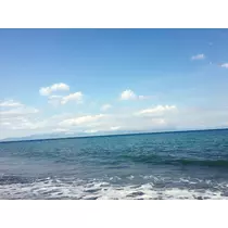 あり