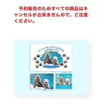 緑 四葉