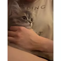 ミヅキ