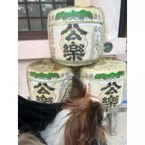 あいら