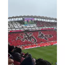 ゆうゆ