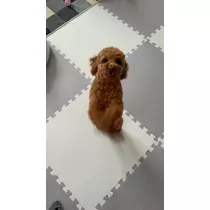 ゆあ