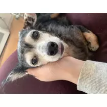 ももか