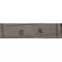 神永 莉聖