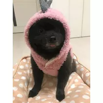 ティナ