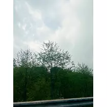 きょう