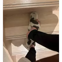 まいか