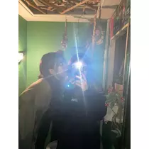 ナナ