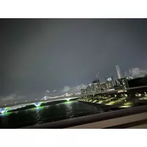 せりな