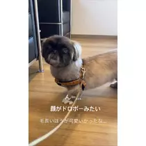 夏目 梨仔