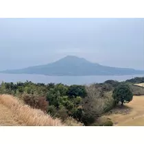美月