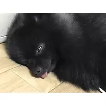 ティナ