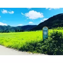 ゆかり
